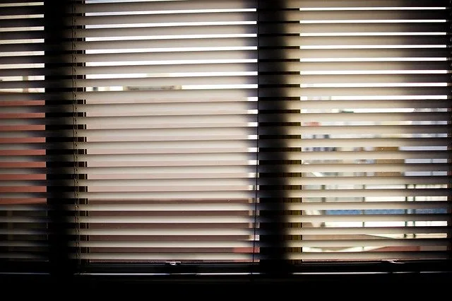 window-blinds-932644_640 Window blinds
