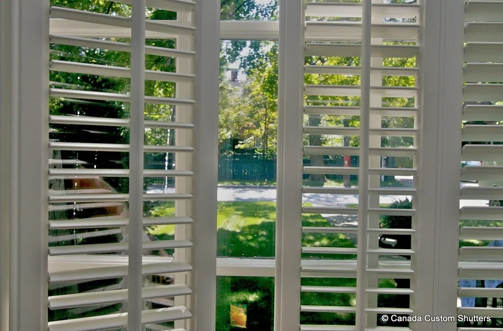 Window Buying Guide for Canada