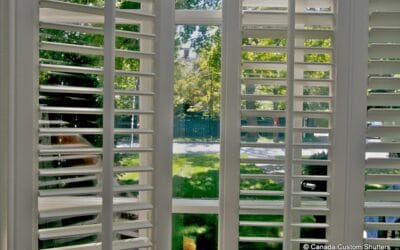 Window Buying Guide for Canada