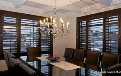 Repair & Maintain Your Shutters